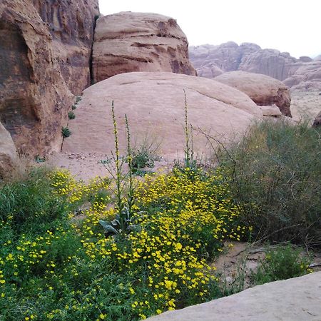 Welcome To Wadi Rum Camp Zewnętrze zdjęcie